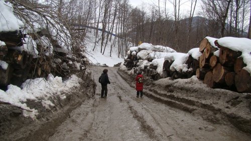 (2011.02.23) ЭкоВахта посетила район строительства олимпийской резиденции Путина и Медведева